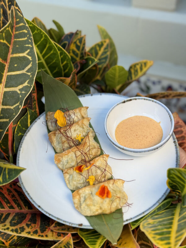 Gyoza with shrimps